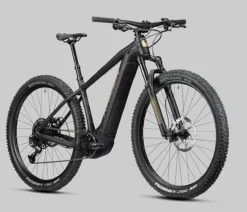 Radon Jealous Hybrid 9.0 625 -Vélo Boutique de vente 2022 JEALOUS HYBRID CX625 9 0 detail08