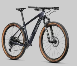 Radon Jealous 10.0 -Vélo Boutique de vente 2022 Jealous 10 0 detail08