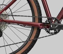 Radon ZR Lady 7.0 -Vélo Boutique de vente 2022 ZR LADY 7 0 multi detail01