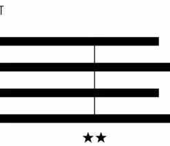 Wippermann Connex 9SB Black EDI Chaîne à 9 Maillons 7 Wippermann Connex 9SB Black EDI Chaîne à 9 Maillons -Vélo Boutique de vente 2601 09SB 0420 2