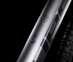 Cube Access WS EXC Grey´n´berry -Vélo Boutique de vente 525300 D3