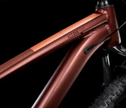 Cube Access WS Pro Rubymetal´n´pink -Vélo Boutique de vente 525410 D1