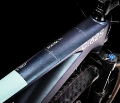 Cube Access WS C:62 SL Team Ws -Vélo Boutique de vente 526300S D1