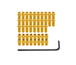 DMR Pin Kit Vault Or