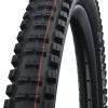 Schwalbe Big Betty Evo Super Gravity 29" Addix Soft E-50 Pneus Pliants 1 Schwalbe Big Betty Evo Super Gravity 29" Addix Soft E-50 Pneus Pliants -Vélo Boutique de vente BigBetty Soft Standard5spZU02nw3bRw