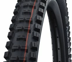 Schwalbe Big Betty Evo Super Gravity 29" Addix Soft E-50 Pneus Pliants