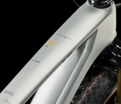 Cube Elite C:62 Pro Silver'n'carbon -Vélo Boutique de vente CUBE Elite C62 Pro silver n carbon 617050 3