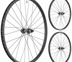 Dt-swiss E 1900 Spline® 29" 30mm 6 Trous Roue Arrière Boost