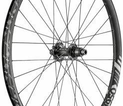 Dt-swiss FR 1950 Classic 29" Roue Arrière