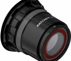 Dt-swiss Corps De Roue Libre Sram XD Ratchet LN