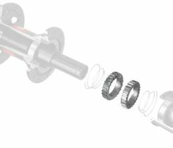 Dt-swiss Kit De Mise à Niveau Superlight 36T Pour Moyeux Star Ratchet -Vélo Boutique de vente DTSwiss Ratchet Kit 36 2