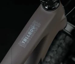 Santa Cruz Tallboy 5 C S -Vélo Boutique de vente Santa Cruz 192219250113 20123431 Tallboy 5 C S 4iB1G55TtrjFPE