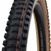 Schwalbe Big Betty Evo Super Trail 29x2,40" Addix Soft E-50 Pneus Pliants -Vélo Boutique de vente Schwalbe Big Betty Evo Super Gravity 29x2 40 Addix Soft E 50 Faltreifen 11654374zR1YzKSeUCTCQ