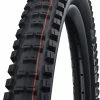 Schwalbe Big Betty Evo Super Ground 20x2,25" Addix Soft E-50 Pneus Pliants -Vélo Boutique de vente Schwalbe Big Betty Evo Super Ground 11654324 1