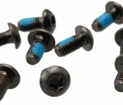 Hayes Vis Torx T-25 (paquet De 12)